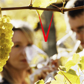 Italy: Valpolicella wine tasting lunch