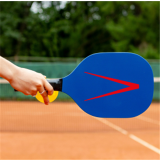 Pickle & Play: An ICAEW Malaysia Members Social on the Court